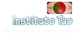 Instituto Tao Acupuntura y Fisioterapia logo